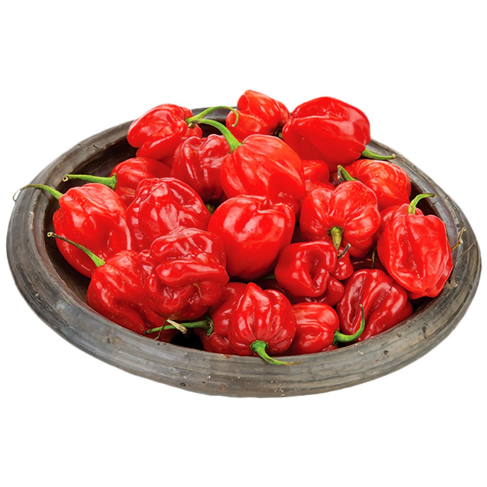 Habanero Pepper Hot Pili-Pili Red Uganda 1 kg.