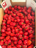 Habanero Pepper Hot Pili-Pili Red Uganda 1 kg.